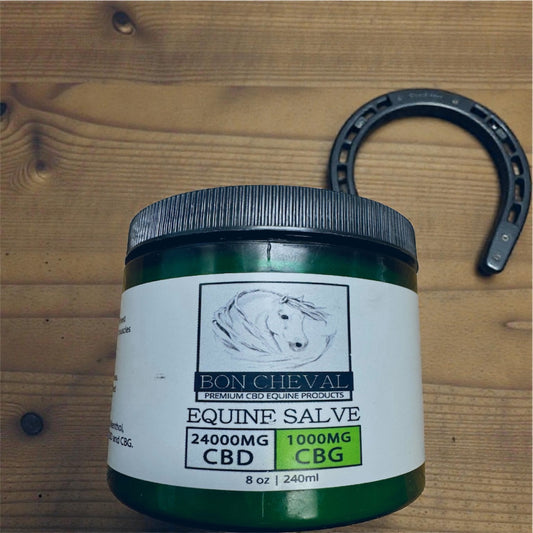 Equine Salve CBD & CBG (8oz jar)