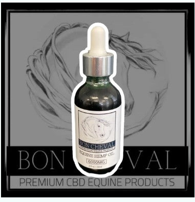 Bottle of Bon Cheval CBD Equine Hemp tincture with dropper on a gray background
